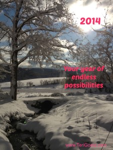 2014 Year of Endless Possibilities